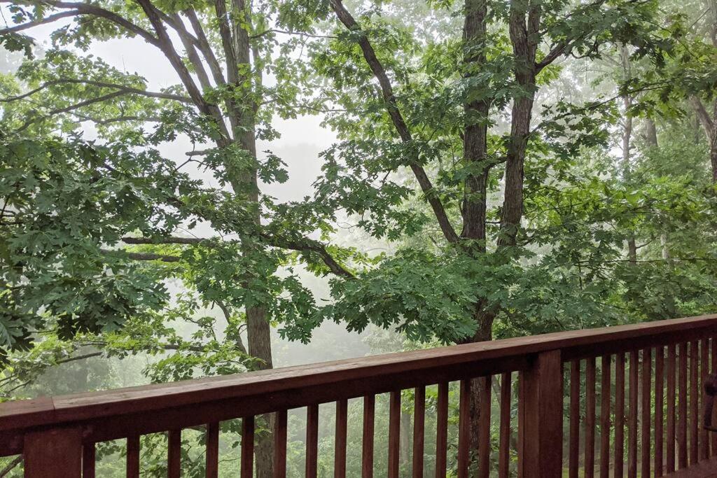 Corner Lake Getaway Daire Bella Vista Dış mekan fotoğraf